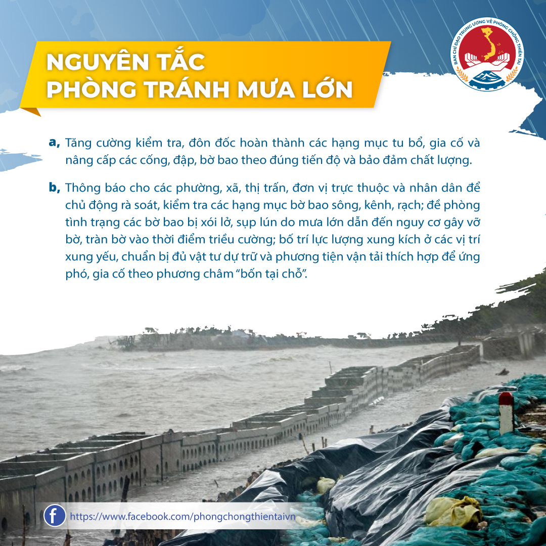 Poster Mưa lớn 2